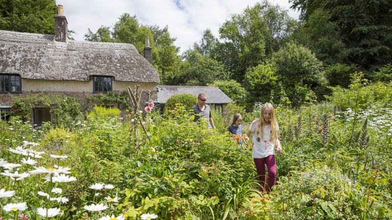 A family walk through waist-high summer flowers and greenery in front of the thatched Hardy’s Cottage